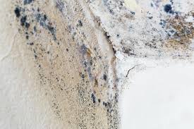 Best Commercial Mold Inspection  in Ballston Spa, NY